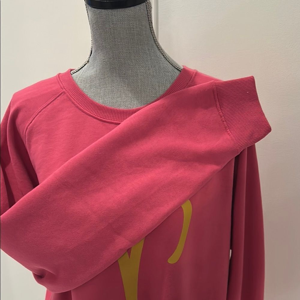Anthropologie and Pink Aries Graphic Sweat Shirt - Picture 6 of 8